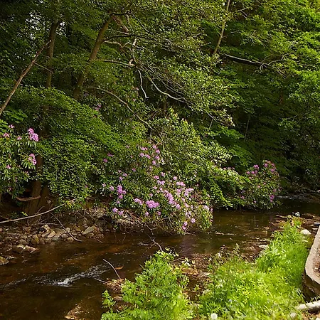 Clody Деревянный коттедж Банклоди