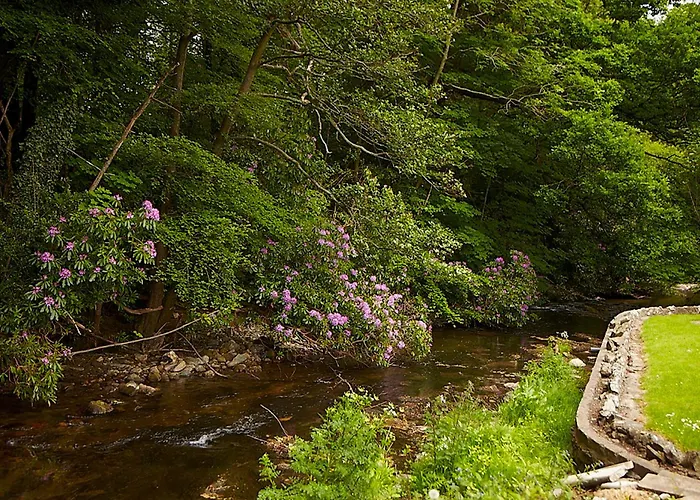 Clody Hytte Bunclody